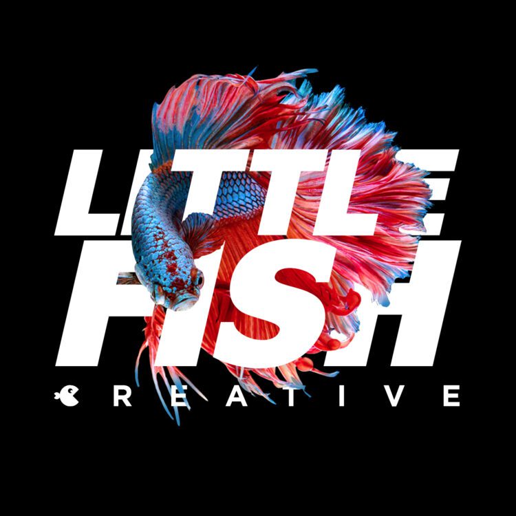 Littlefish image local design agency, leamington spa, graphic design warwickshire, creative agency warwick, littlefish, design agency leamington spa, midlands creative agency