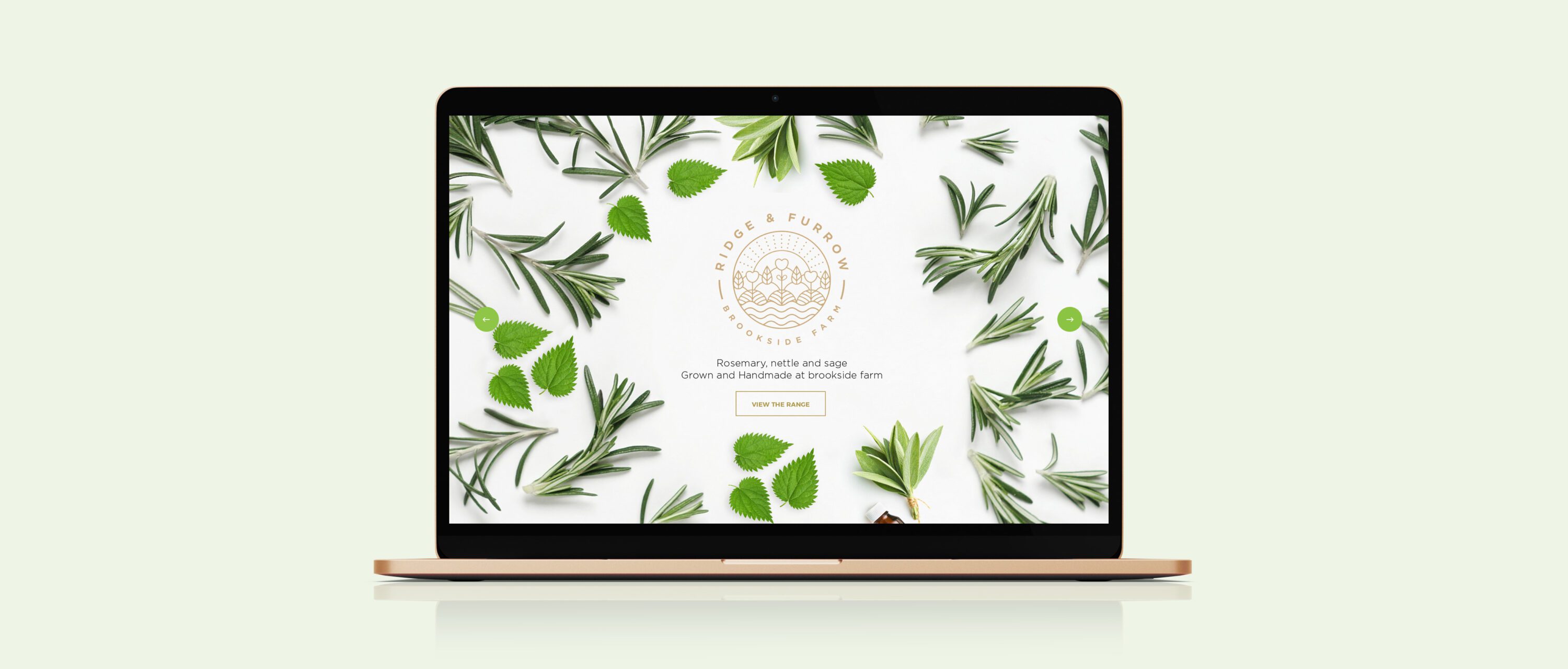 R&F Website web design, UI, UX, design agency, leamington spa, graphic design warwickshire, creative agency warwick, littlefish, design agency leamington spa, midlands creative agency