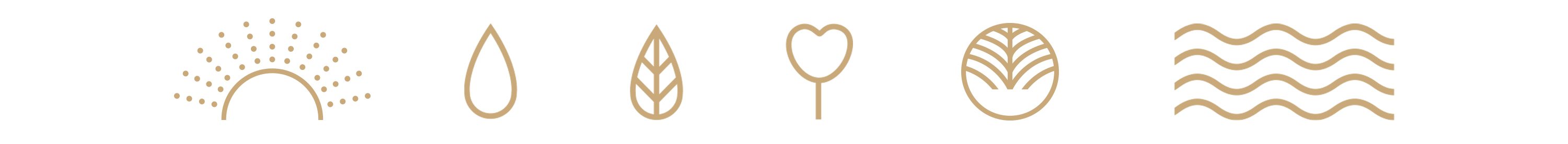R&F symbols icon design, design agency, graphic design warwickshire, creative agency warwick, littlefish, design agency leamington spa, midlands creative agency